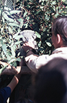 1972 Sydney Australia